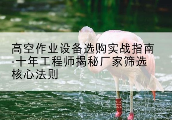 兴安剪叉式升降机厂家-高空作业设备选购实战指南-十年工程师揭秘厂家筛选核心法则